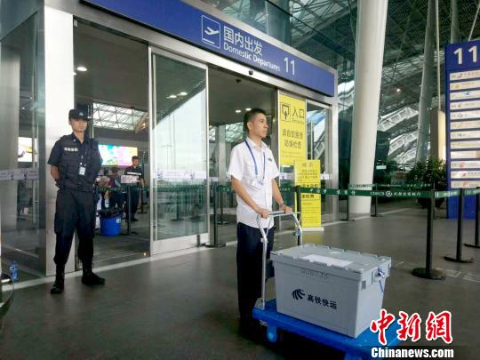 图为出站后,工作人员将“空铁联运”快件通过专用通道送到双流国际机场航站楼 钟欣 摄